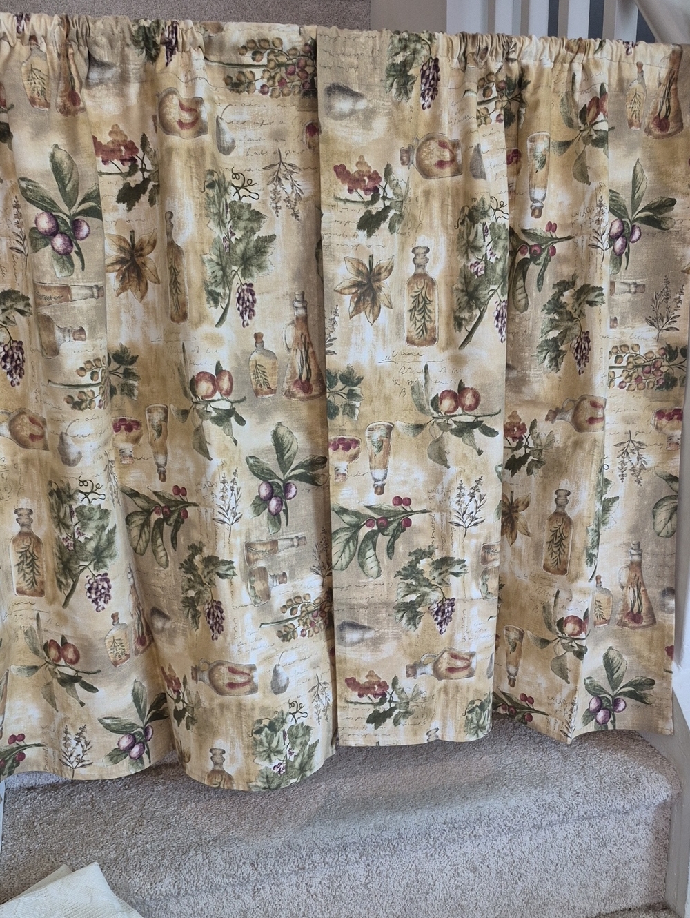 Two Golden Beige Botanical Print Valance Curtains 27x34 (54x34)